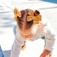 Gold Stars | Pigtail Bows