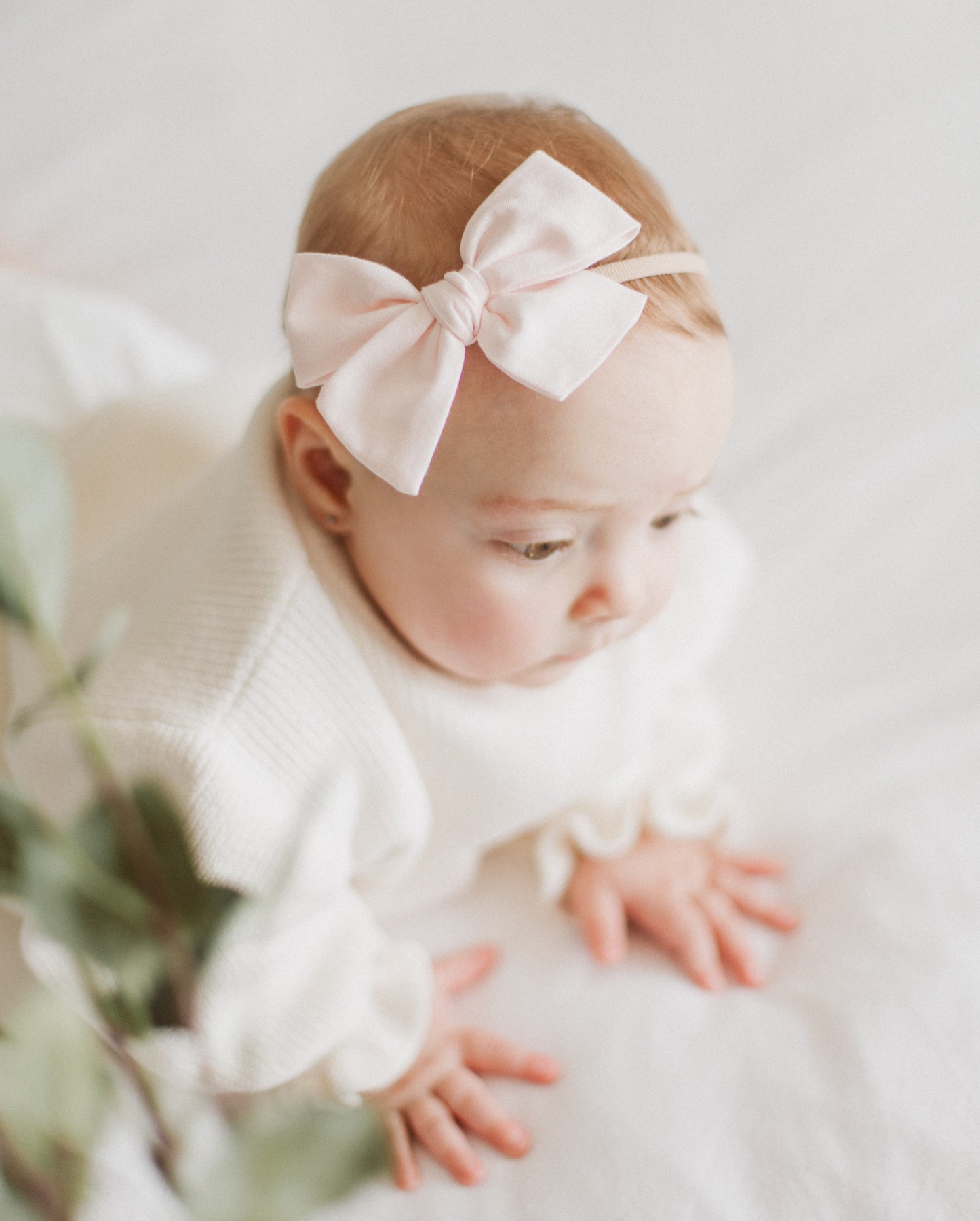 Mistletoe Green | Large Pinwheel